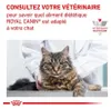 Tierärztliches Spezial-Trockenfutter für Katzen mit Produktbild-Vorschau 1