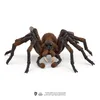 Hračka Schleich Harry Potter - Aragog Anteprima dell’immagine prodotto 18