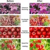A collage of four 'before and after' images showing the effects of a plant growth lamp on different plants. Produktbild-Vorschau