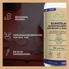 GRASHÜPFER® Ultraschallreiniger Konzentrat | 1L Konzentrat Produktbild-Vorschau 3