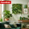 Floordirekt Mur végétal Fire Sky, panneau végétal Voir les images du produit 5