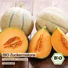 Samenliebe  Melone Samen | Cantaloupe - orange & sehr süß & Produktbild-Vorschau 4