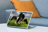 MuchoWow® Laptop Aufkleber Sticker Cover Kühe - Tiere - Produktbild-Vorschau 4