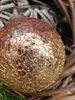 Christbaumkugel Jaenna, kupfer-gold #626 Kugel Jaenna Produktbild-Vorschau 3