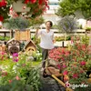 Nawóz organiczny z wełny owczej – granulat (5 kg na 50 m2) Podgląd zdjęcia produktu 11