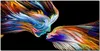 Coloray Bild aus Leinwand 100x50 Leinwand Dekoration - Produktbild-Vorschau 1
