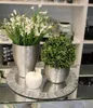 Two potted plants and a decorative apple on a mirrored tray, displayed on a shelf. Produktbild-Vorschau