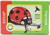 The image shows the packaging of a wind-up ladybug toy. The packaging is colorful with a drawing of the ladybug on the front. Produktbild-Vorschau
