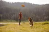 Ruffwear Hydro Plane Hundespielzeug, Farbe:Campfire Orange, Produktbild-Vorschau 13