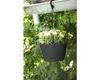 Green Basic Hängeampel lebhaft schwarz, Ø 28 cm Produktbild-Vorschau 10