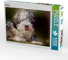 Calvendo Der PON 1000 Teile Puzzle quer 640x480mm, Roder Produktbild-Vorschau 1