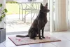 Dirty Dog Doormat - Hund - Beige - 78x51 cm Produktbild-Vorschau 9