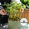 5 Stück schwarze Monstera-Pflanzenstützen (19 x 17 cm) – Produktbild-Vorschau 4