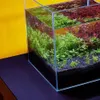 Mata per acquario in polietilene 200 x 60 cm, 6 mm, Anteprima dell’immagine prodotto 4