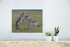 MuchoWow® Poster Spielende Zebras 40x30 cm - Plakate für Produktbild-Vorschau 6