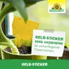 Neudorff Gelbsticker für Pflanzen 10 Stück gegen kleine Produktbild-Vorschau 7