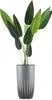 HowHomely | Set di fioriere - Stripped - Grigio - Design Anteprima dell’immagine prodotto 5
