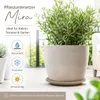 Pflanztopfuntersetzer Mira Taupe Ø 49cm - Frostsicher & Produktbild-Vorschau 2
