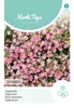 Seifenkraut | Blumensamen von Hortitops Produktbild-Vorschau 1