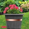 Bellissa Schneckenband 500 x 3 cm Produktbild-Vorschau 6