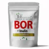 Forest Vitamin Bor + Inulin 100 Kapseln Produktbild-Vorschau 2