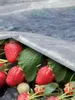 Gartenvlies 17g/m² 1,6 x 10m– Atmungsaktives Produktbild-Vorschau 3