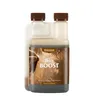 Canna  Boost, 250ml Produktbild-Vorschau 4