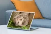 MuchoWow® Laptop Aufkleber Sticker Cover Igel für Produktbild-Vorschau 4