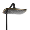 A close-up of a black and gold shower head. Podgląd zdjęcia produktu
