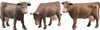 Fratello mucca marrone (diverse posizioni della testa, Anteprima dell’immagine prodotto 7