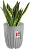 KADAX Blumentopf aus Kunststoff "Costa", mit Produktbild-Vorschau 1