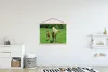 MuchoWow® Textilposter Pferd - Fohlen - Tiere 120x90 cm mit Produktbild-Vorschau 2
