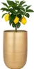Vaso da fiori Camiel gold 65cm - fioriera rotonda alta in Anteprima dell’immagine prodotto 7