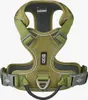 Dog Copenhagen V3 Comfort Walk Pro Harness Hunting Green M Produktbild-Vorschau 3