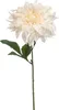 6er Set künstliche Dahlien mit XXL Blüte creme weiß H. 60cm Produktbild-Vorschau 2