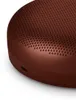 Bang & Olufsen Beosound A1 (3. generácia), rustikálna Náhľad obrázku produktu 10