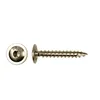 A product shot of a screw and its head, isolated on a white background. Anteprima dell’immagine prodotto