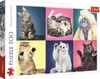 Trefl 37377 puzzle Puzzle 500 pezzi Animali Anteprima dell’immagine prodotto 1