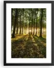 Gerahmtes Poster - Schwarzer Rahmen - Wald grün Produktbild-Vorschau 1
