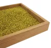 5 Kg gelben Quarzkies "" 2-3 mm Bodengrund Aquarium Kies Produktbild-Vorschau 6