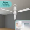 Noaton® Deckenventilator mit Beleuchtung und Fernbedienung Produktbild-Vorschau 4