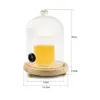 Ziva - Glasglocke - für Räuchercocktails - ⌀12 x H22cm Produktbild-Vorschau 5