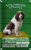 vianmo Blechschild 18x12 cm Springer Spaniel Hund friendly Produktbild-Vorschau 1
