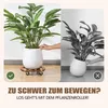 Pflanzenroller Holz Rund 2er Set, Blumentopf Untersetzer Produktbild-Vorschau 5