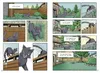 Warrior Cats - Graustreifs Weg zurück Produktbild-Vorschau 3