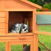 A rabbit is inside a wooden hutch in a grassy outdoor area. Produktbild-Vorschau