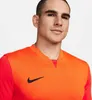 Nike Funktionsshirt für Herren in unifarben uni O24-0094714 Produktbild-Vorschau 6