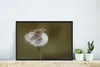 MuchoWow® MuchoWow® Gerahmtes Poster Maus - Jung - Blumen Produktbild-Vorschau 5