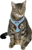 KERBL Harnais pour chat avec laisse, bleu 34-44x28cm Voir les images du produit 3