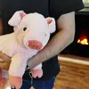 Mama świnka z 3 młodymi świnkami Podgląd zdjęcia produktu 4
